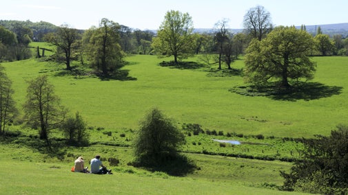 Discover 1,200 acres of parkland at Erddig